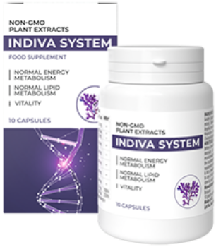 InDiva System